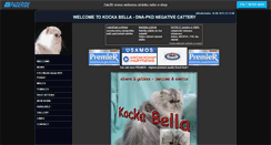 Desktop Screenshot of chinchilla-cats.snadno.eu